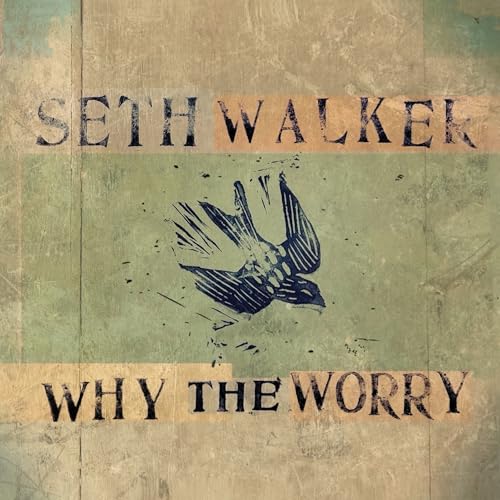 Why The Worry |-Music History