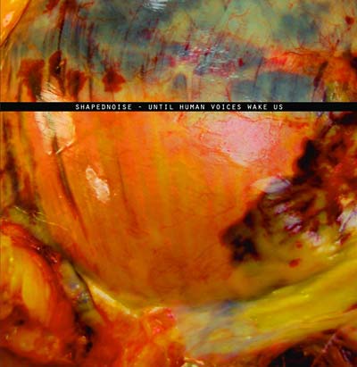 SHAPEDNOISE - Until Human Voices Wake Us [Import] | Mint (M) Mint (M)-Music History