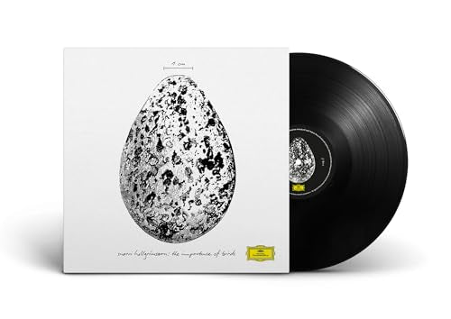 Snorri Hallgromsson - The Importance Of Birds [12" Ep] |-Music History