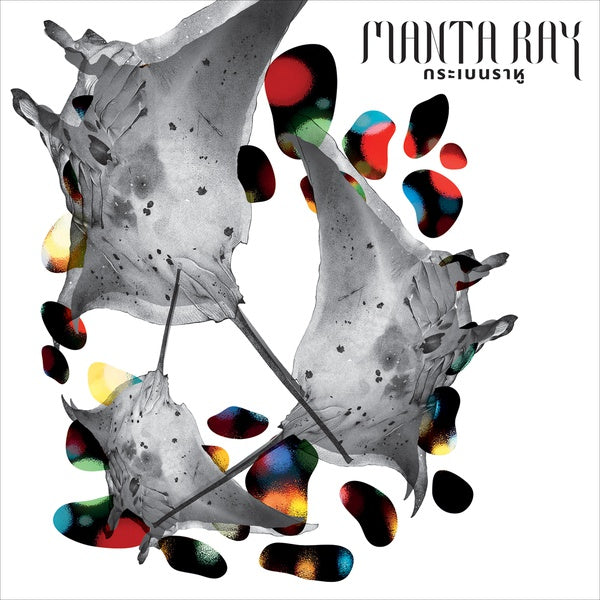 SNOWDROPS - Manta Ray |-Music History
