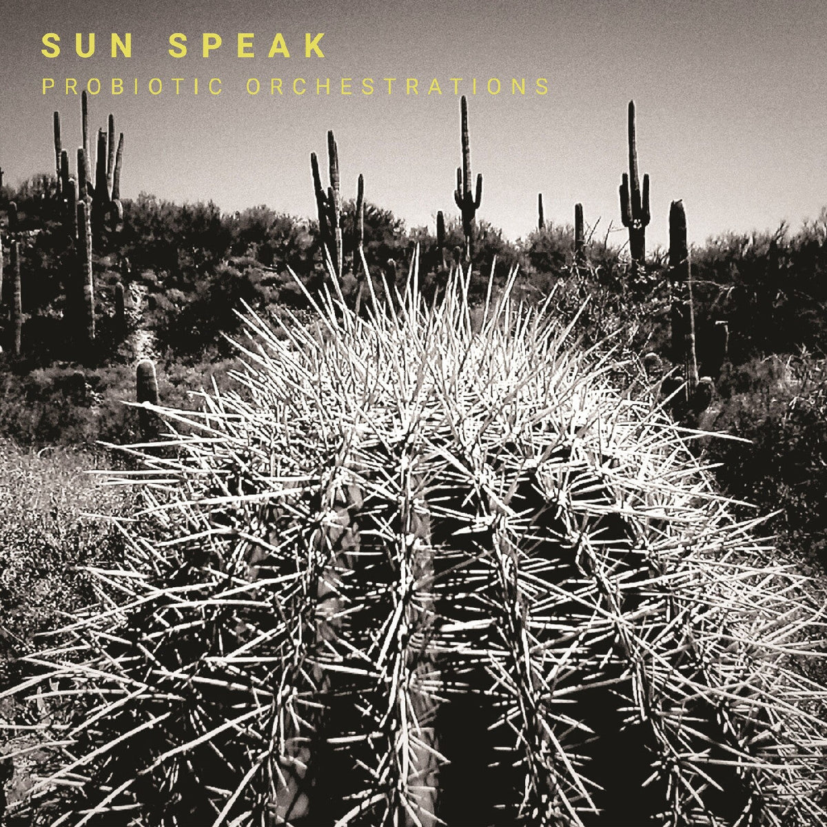 Sun Speak - Probiotic Orchestrations (VINYL) | Mint (M) Mint (M)-Music History