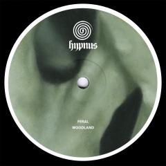 Feral - Woodland (VINYL 12") | Mint (M) Mint (M)--Music History