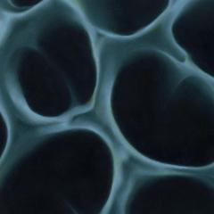 BLNDR - Radiolaria (VINYL 12") | Mint (M) Mint (M)--Music History