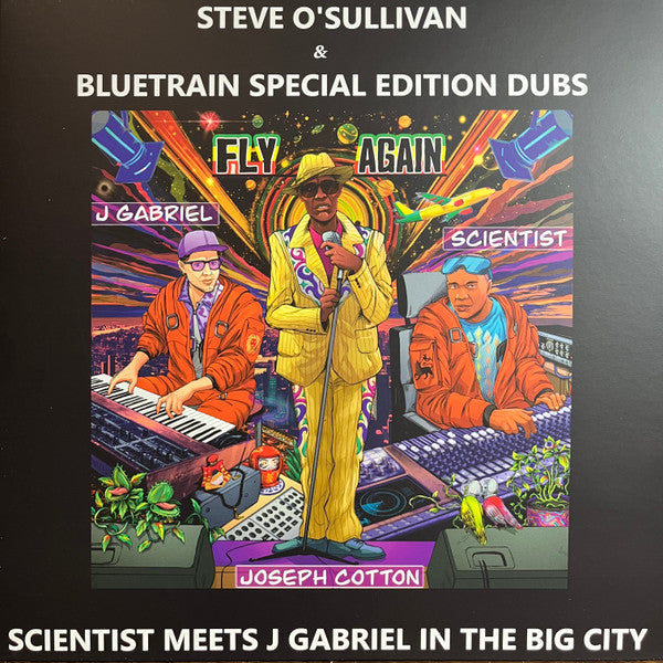 Scientist - Fly Again Dub Remixes (VINYL) | Mint (M) Mint (M)--Music History
