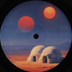 Various - Transient States. Feedback (VINYL 12") | Mint (M) Mint (M)--Music History