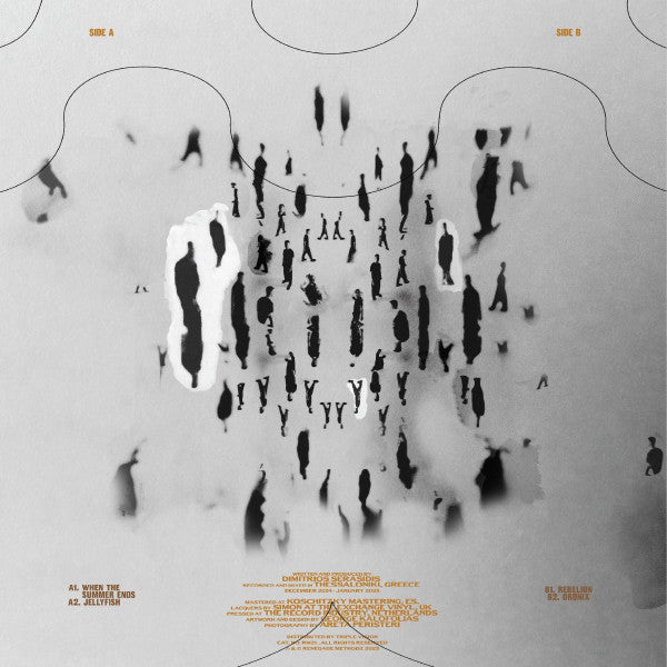 Sera J - When The Summer Ends (VINYL) | Mint (M) Mint (M)--Music History
