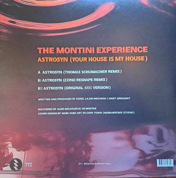 The Montini Experience - Astrosyn (Your House Is My House)(VINYL) | Mint (M) Mint (M)--Music History