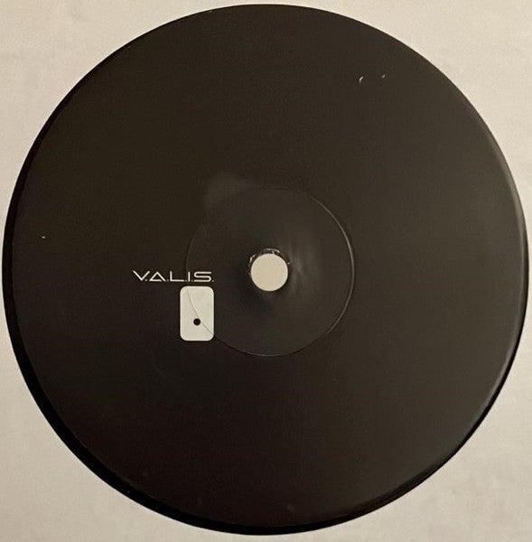 VALIS (12) - VALIS 02 (VINYL) | Mint (M) Generic--Music History