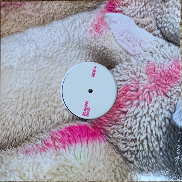 Blawan - BouQ (VINYL) | Mint (M) Mint (M)--Music History