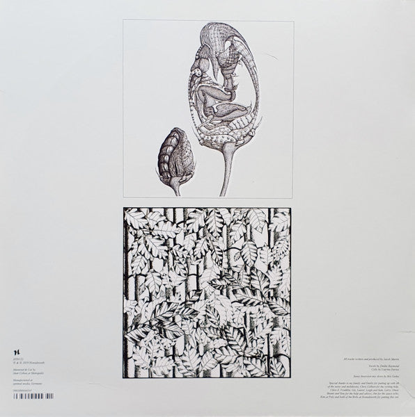Hodge (3) - Shadows In Blue (2XVINYL) | Mint (M) Mint (M)--Music History