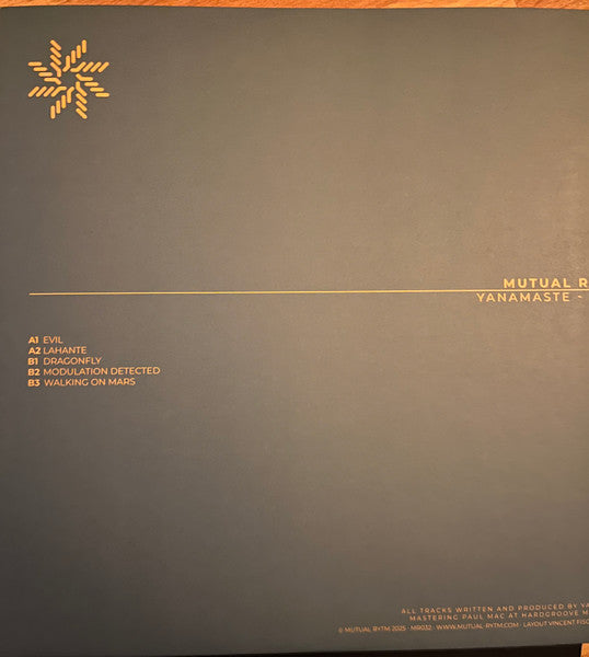 Evil (VINYL) | Mint (M) Mint (M)--Music History