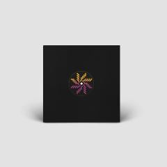 Glaskin - Inertia of Motion (VINYL 12") | Mint (M) Mint (M)--Music History
