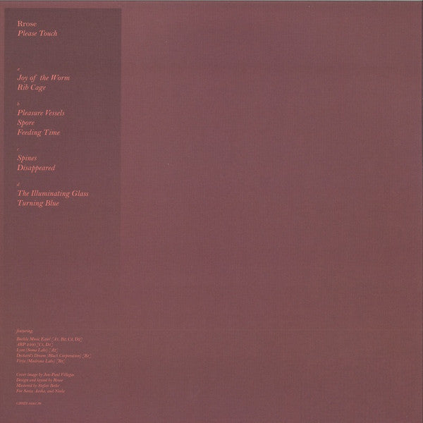 Rrose - Please Touch (12") | Near Mint (NM) Generic--Music History