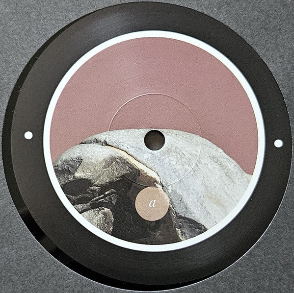 Rrose - Please Touch (12") | Near Mint (NM) Generic--Music History