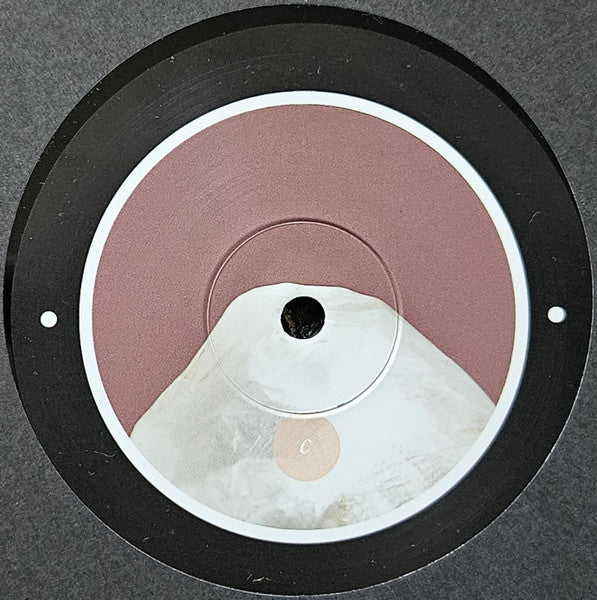 Rrose - Please Touch (12") | Near Mint (NM) Generic--Music History