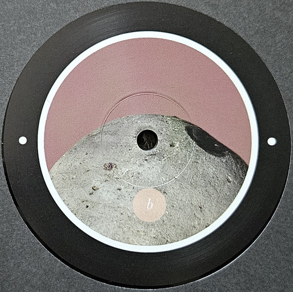 Rrose - Please Touch (12") | Near Mint (NM) Generic--Music History