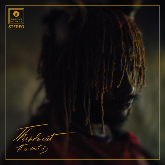 Thundercat - It Is What It Is (Clear Vinyl) |-Music History