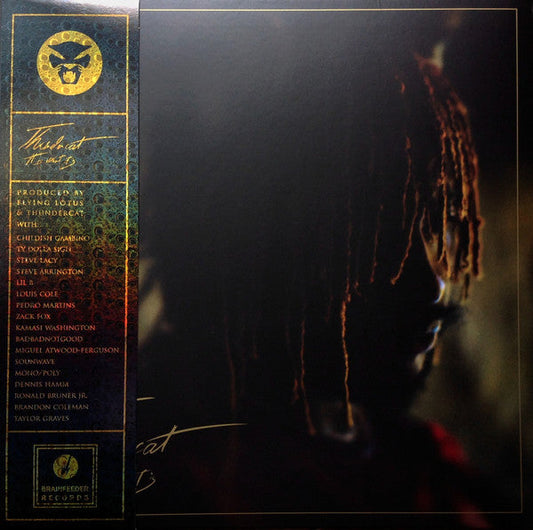 Thundercat - It Is What It Is (RED VINYL) | Mint (M) Mint (M)-Music History