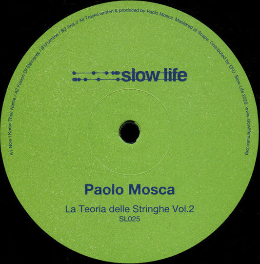 Paolo Mosca La Teoria Delle Stringhe Vol. 2 12" Mint (M) Generic-Music History