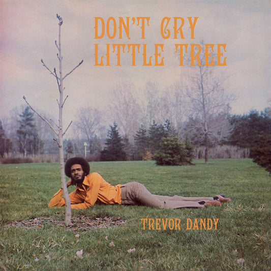 TREVOR DANDY - Don't Cry Little Tree (VINYL) | Mint (M) Mint (M)-Music History