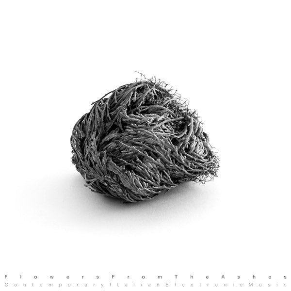 Va - Flowers From The Ashes: Contemporary Italian Electronic Music [Import] (VINYL) | Mint (M) Mint (M)--Music History