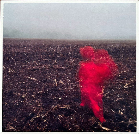Will Varley - The Hole Around My Head | Mint (M) Mint (M)-Music History