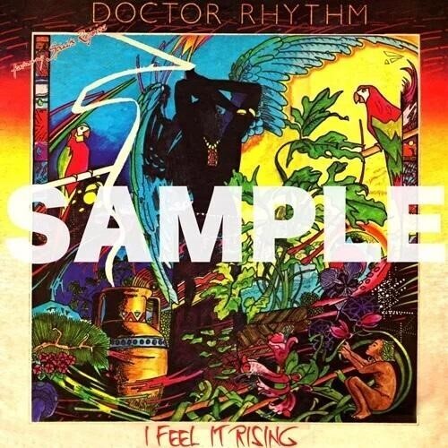 Doctor Rhythm - I Feel It Rising (VINYL) |--Music History
