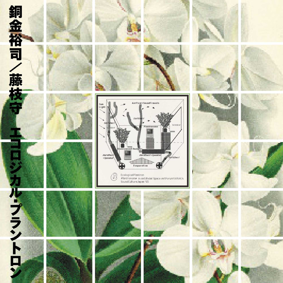 Yuji Dogane and Mamoru Fujieda - Ecological Plantron |-Music History